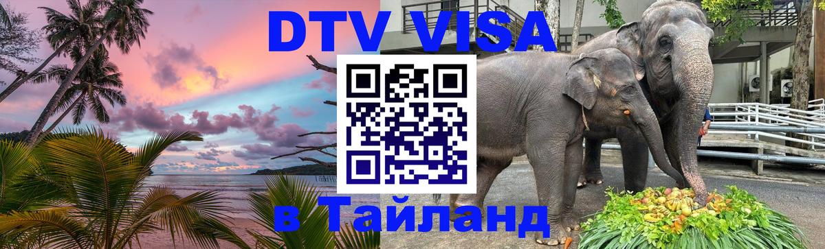 Сколько стоит DTV виза — актуальные цены, оформление даже без документов - Андорра-ла-Велья  04.10.2025 
